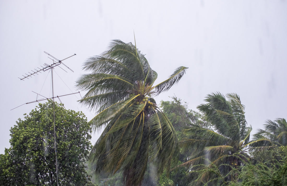 Protecting Your Home with an Uninterruptible Power Supply (UPS) During Typhoon Season