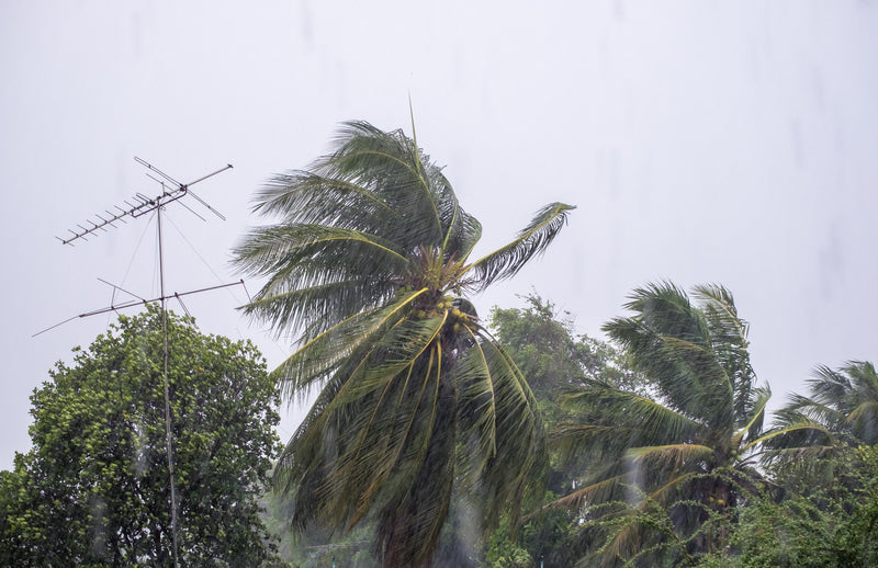 Protecting Your Home with an Uninterruptible Power Supply (UPS) During Typhoon Season