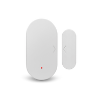 Smart Zigbee Door/Window Sensor